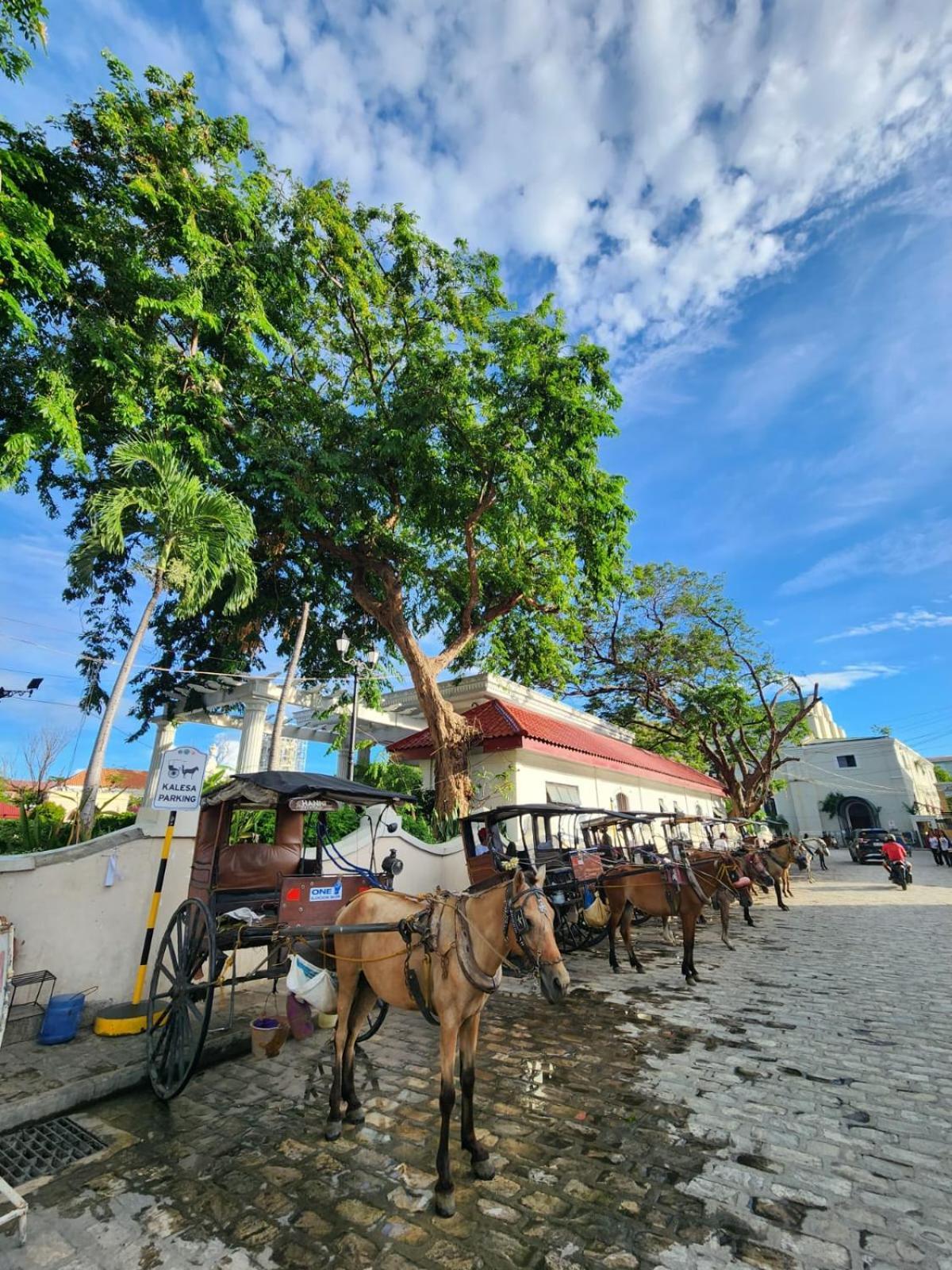 The Orange House - Vigan Villa エクステリア 写真